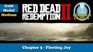 Fleeting Joy  Gold Medal Guide  Red Dead Redemption 2 [upl. by Eilama]