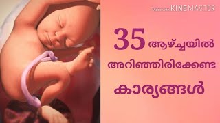 What to expect in 35 week pregnancy in malayalam [upl. by Sneve]