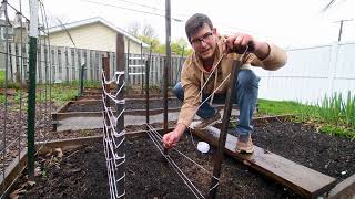 Amazing 3 Trellis for Peas And Other Climbing Vegetables [upl. by Yanarp383]