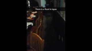 Ellicott City MD Flash Flood at La Palapa July 30 2016 [upl. by Anne-Corinne757]