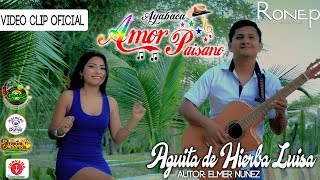 AMOR PAISANO🌟AGÜITA DE HIERBA LUISA ESTRENO 2018 VIDEO CLIP OFICIAL RONEP PRODUCCIONES HD [upl. by Bower]