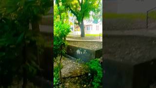 VCW Hostel  Vasanta Ashram KFI Rajghat Fort Varanasi [upl. by Leimad891]