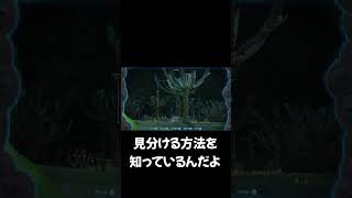 【ゼルダの伝説ティアーズオブザキングダム】ビビり配信主によるビビり回避方法shorts short ゼルダの伝説ティアーズオブザキングダム ゲーム実況 ゼルダの伝説 [upl. by Yerdua]