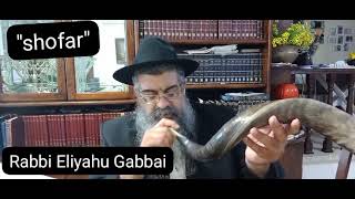 quotshofarquotThere are 3 voices in the shofar they blow it 3 times a year a month quotElulquot quotRosh Hash [upl. by Nwahsar]