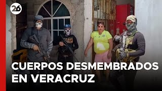 MÉXICO  ¿Quién está detrás de los cuerpos desmembrados en Veracruz [upl. by Neenwahs]