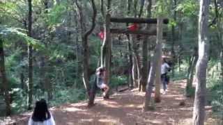 野山北公園 あそびの森  Fun Adventure Playground in the Forest Nokitayama Park [upl. by Notlew739]