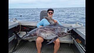 broadbill swordfish caught in New Zealand on Aucklands west coast [upl. by Anihpesoj287]