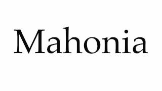 How to Pronounce Mahonia [upl. by Weyermann]