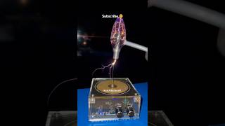 New Bulb 💡 Music Tesla Coil shorts [upl. by Acemat]