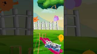 Cat on a Slide Ride 🐱🎢cat shortsfunnycutecatstrendingshortscatslidingcatvideo [upl. by Fawcette]