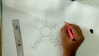 how to draw water vascular system of star fish [upl. by Aramak891]