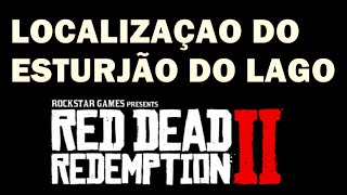 LOCALIZAÇÃO ESTURJÃODELAGO RED DEAD REDEMPTION 2DESAFIO DIÁRIO XBOXPS4PS5PC [upl. by Parsifal672]