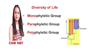 Diversity of life  Monophyletic  Paraphyletic  Polyphyletic group  CSIR UGC NET [upl. by Adolfo546]