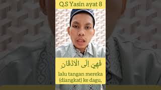 QS Yasin ayat 8 dagu prisandi leher qory bacaanalquran murottal qari murotal belajar pipa [upl. by Enayd175]