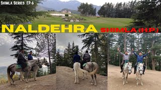 Naldehra Shimla Horse Riding At Naldehra  Himachal Pradesh [upl. by Rod521]