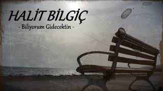 Halit Bilgiç  Biliyorum Gidecektin [upl. by Norabel754]