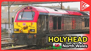 Trains at Holyhead Caergybi 13062024 [upl. by Libyc678]