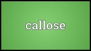 Callose Meaning [upl. by Nimocks]