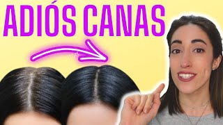 👌 ELIGE el NÚMERO de TINTE correcto para CUBRIR tus CANAS [upl. by Elleda]