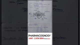 Vinca  Pharmacognosy B Pharmacy unit 2 drug pharmacognosy bpharmacy pharmacy [upl. by Aleka485]