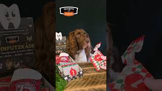 Hundeadventskalender ASMR  so macht auspacken Spaß [upl. by Einahpets]