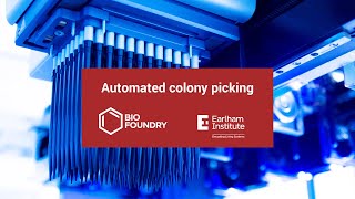 Earlham Institute Bio Foundry  Automated colony picking [upl. by Yeldahc166]