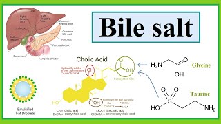 bile salt [upl. by Liuqnoj]