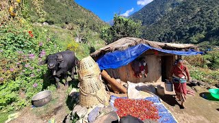 Simple The Beast Mountain Village  Peaceful And Relaxing Mountain Village Life  Thevillagenepal [upl. by Latsyrc300]