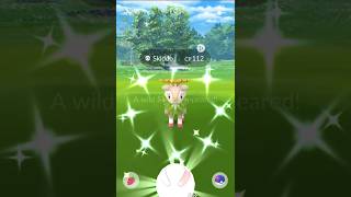 Shiny Dwebble amp Shiny Skiddo Pokémon GO City Safari in Tainan Taiwan [upl. by Nirot]