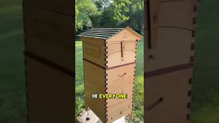 Beekeeping 🍯 The Secret to Getting Bees to Build Comb on Flow Hive 🐝flowhive beekeeping bees [upl. by Nosrej335]