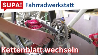 Kettenblatt wechseln  Fahrradwerkstatt mit Gordon [upl. by Irmina63]