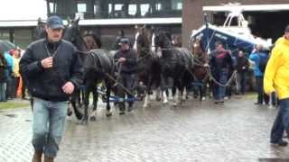 Paarden Reddingsboot op Ameland [upl. by Wellesley]