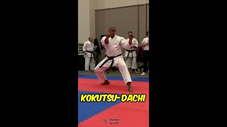 🥋Kokutsudachi  Back Stance Explained shorts [upl. by Anawat211]