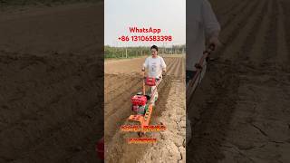 Competitive Price Agricultural Machine Farm Tractor Garden Rotary Mini Tiller Cultivator Power [upl. by Sochor]