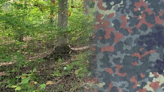 TPP F2 Flecktarn Camo Test Early Fall Inner Woods [upl. by Berglund]