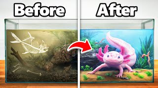 I Transformed an Abandoned Axolotl’s Home [upl. by Ardnikal]