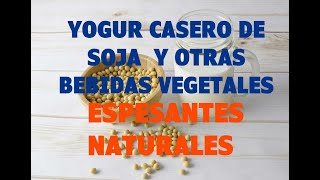 Cómo hacer Yogur casero vegano soja y otras bebidas vegetales Fermentos alta calidad probiótica [upl. by Meekah]