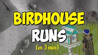 Birdhouse Runs in 3 minutes Quick Guide [upl. by Clementius]