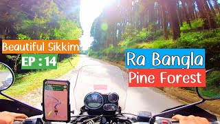 Beautiful Pine Forest Ravangla Sikkim  EP  14  Poth Chola Biker [upl. by Eiduam]