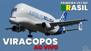 INÉDITO  Live AIRBUS BELUGA  Viracopos  VCP  SBKP  24072022 [upl. by Lisha]