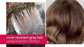 How to Cover Resistant Gray Hair Using Koleston Perfect  Wella Professionals [upl. by Fiel]