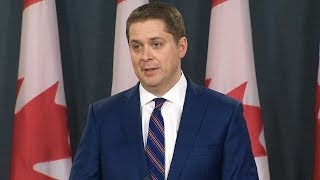 Scheer on pizzagate quotA ridiculous conspiracy theoryquot [upl. by Roshelle]