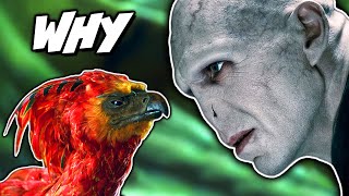 The REAL Reason Fawkes Feather Chose Harry AND Voldemort Very Dark  Harry Potter Theory [upl. by Jos]