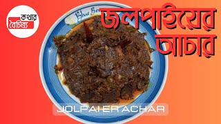 লোভনীয় স্বাদের জলপাইয়ের টক ঝাল মিষ্টি আচার  Jolpai er achar  কথার বৈচিত্র্য  Kothar Boichitro [upl. by Nura756]