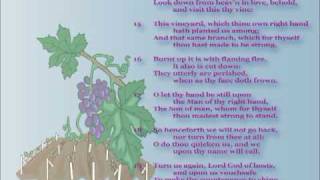 Psalm 80 sung Acapella Presbyterian Reformed Church [upl. by Teillo]