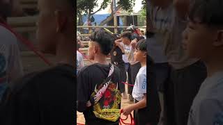 SJ LEMBU SENTONO bantenganmberot mberot bantengan [upl. by Argyres190]