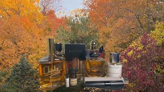 10 perfumes to wear while burning leaves 🍁 [upl. by Schram]