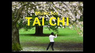 Music for Tai Chi in the Park  Meditation and Relaxation [upl. by Cuhp365]