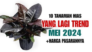 10 Tanaman Hias Yang Lagi TREND di bulan MEI 2024 [upl. by Arhat]