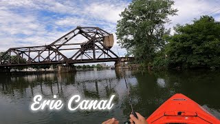 Kayak Fishing Erie Canal Full day on the water [upl. by Ahsitruc]